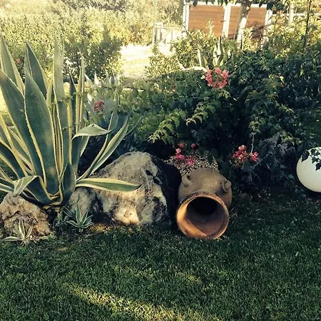 Luxury Al Mare In Calabria Diamante